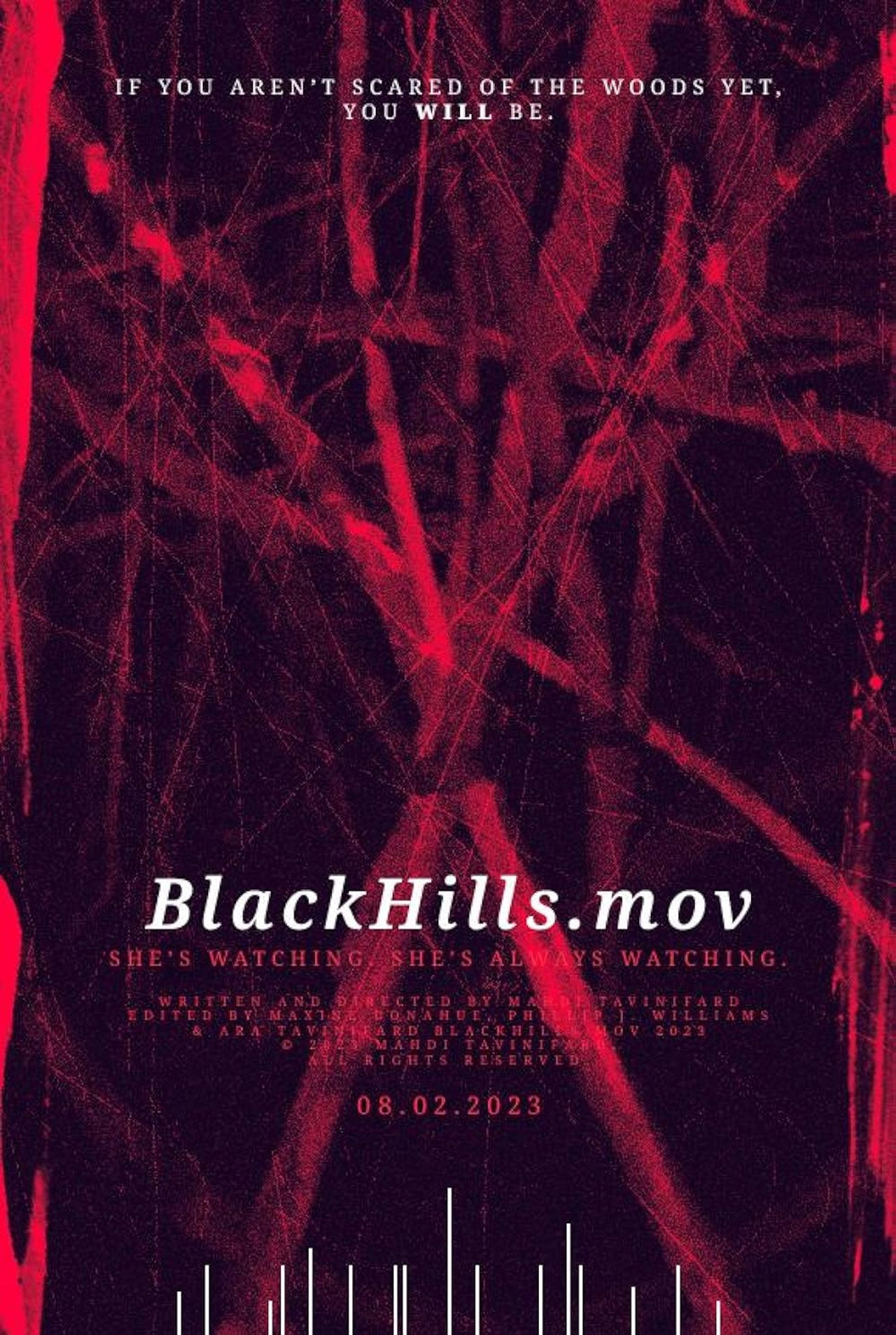 BlackHills.mov Backdrop