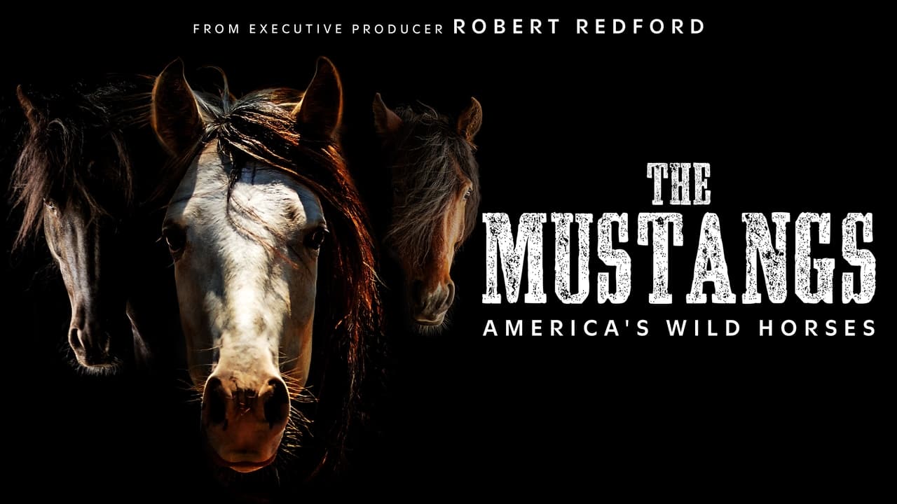 The Mustangs: America's Wild Horses background