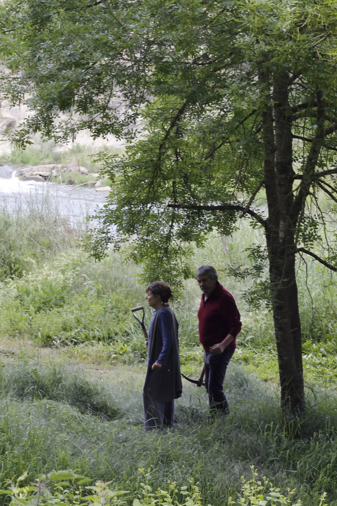 Vestigis filmaffisch