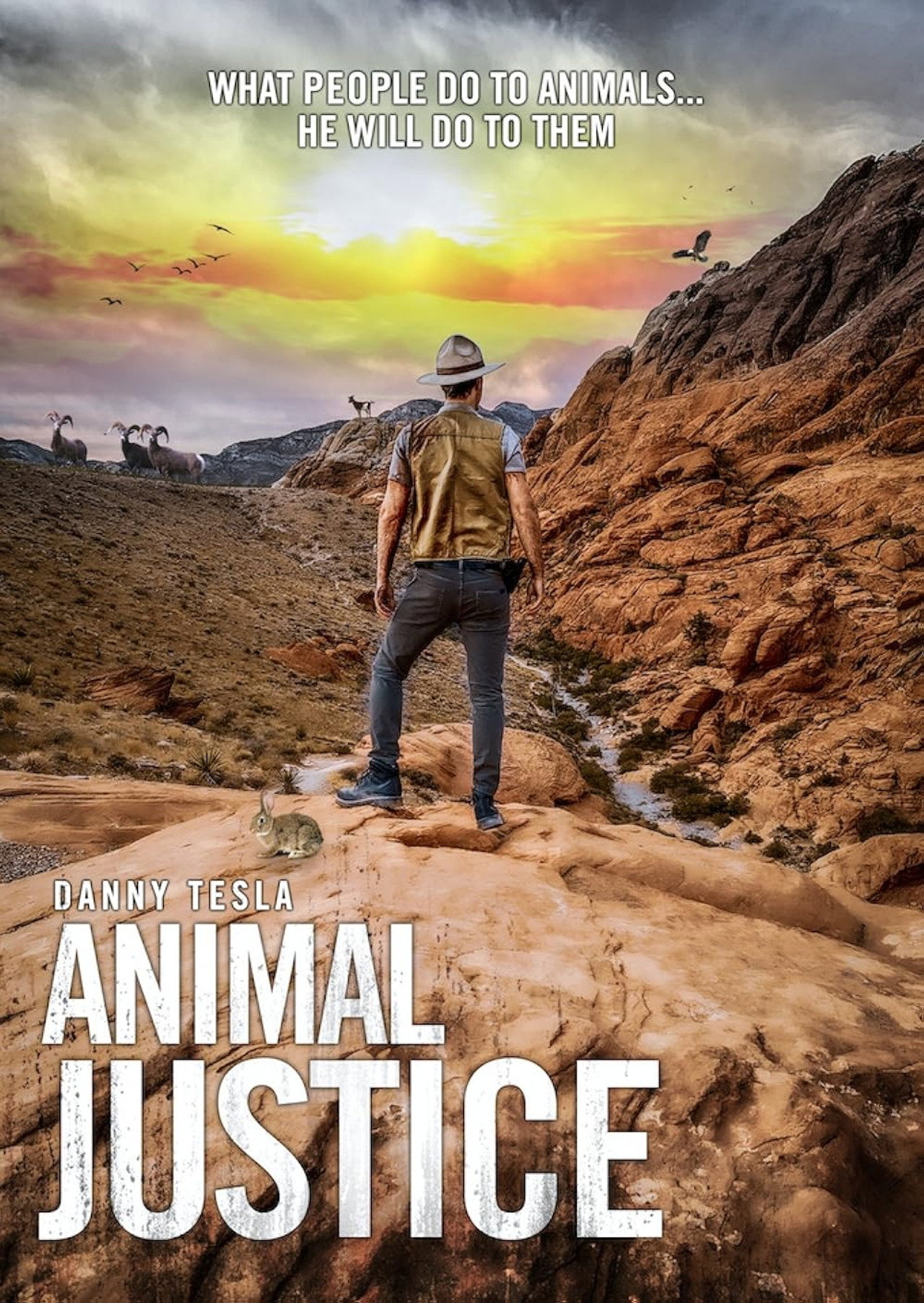 Animal Justice Backdrop