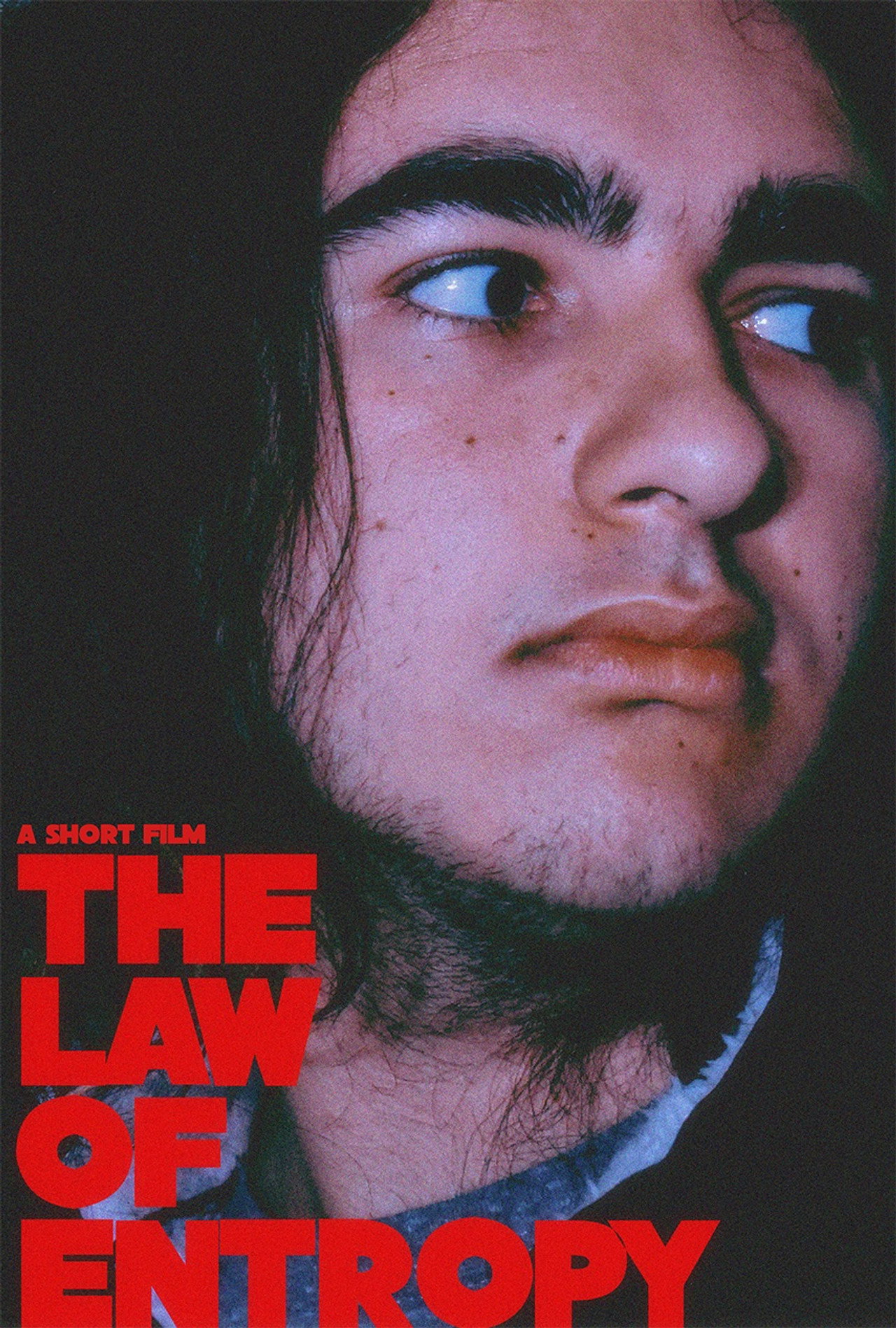 The Law of Entropy filmaffisch