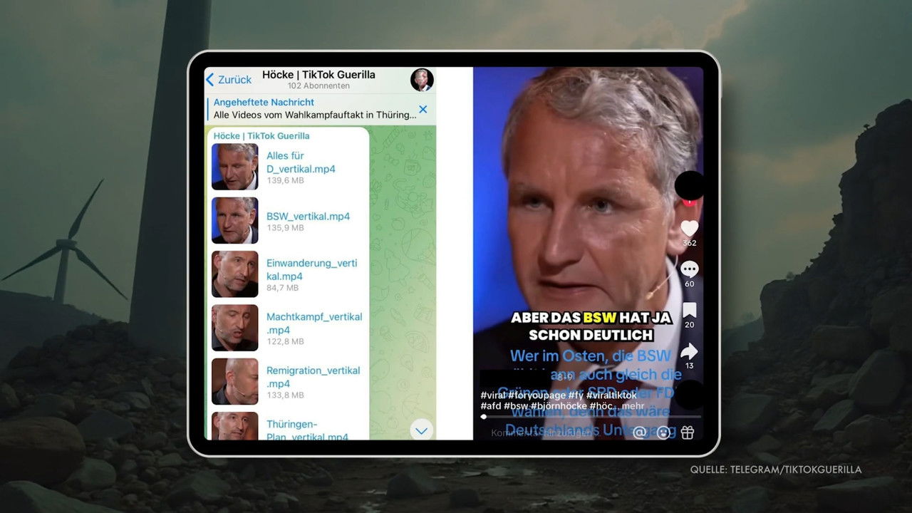 The TikTok-Army of the AfD backdrop