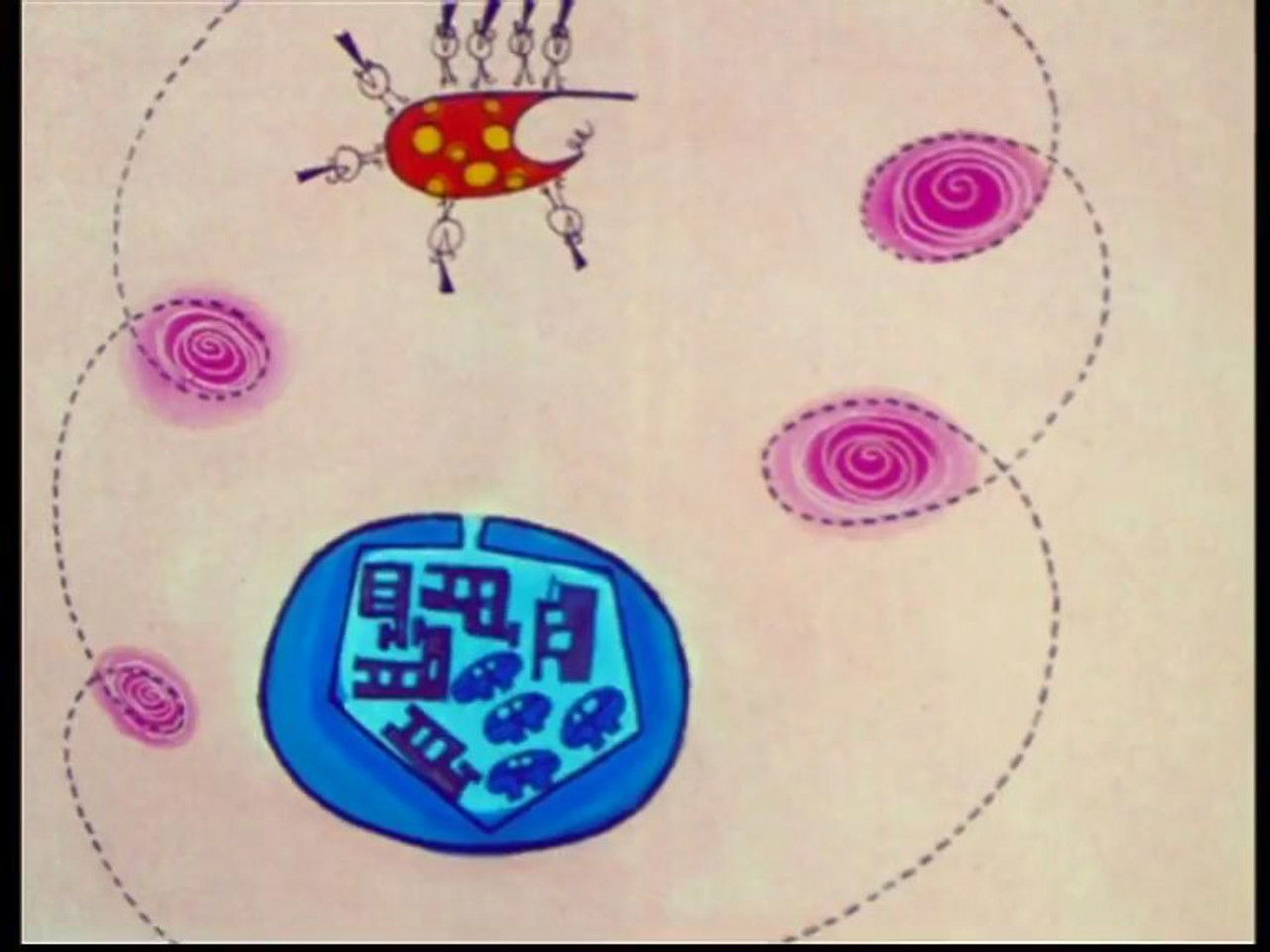 Les Shadoks — Épisode 19