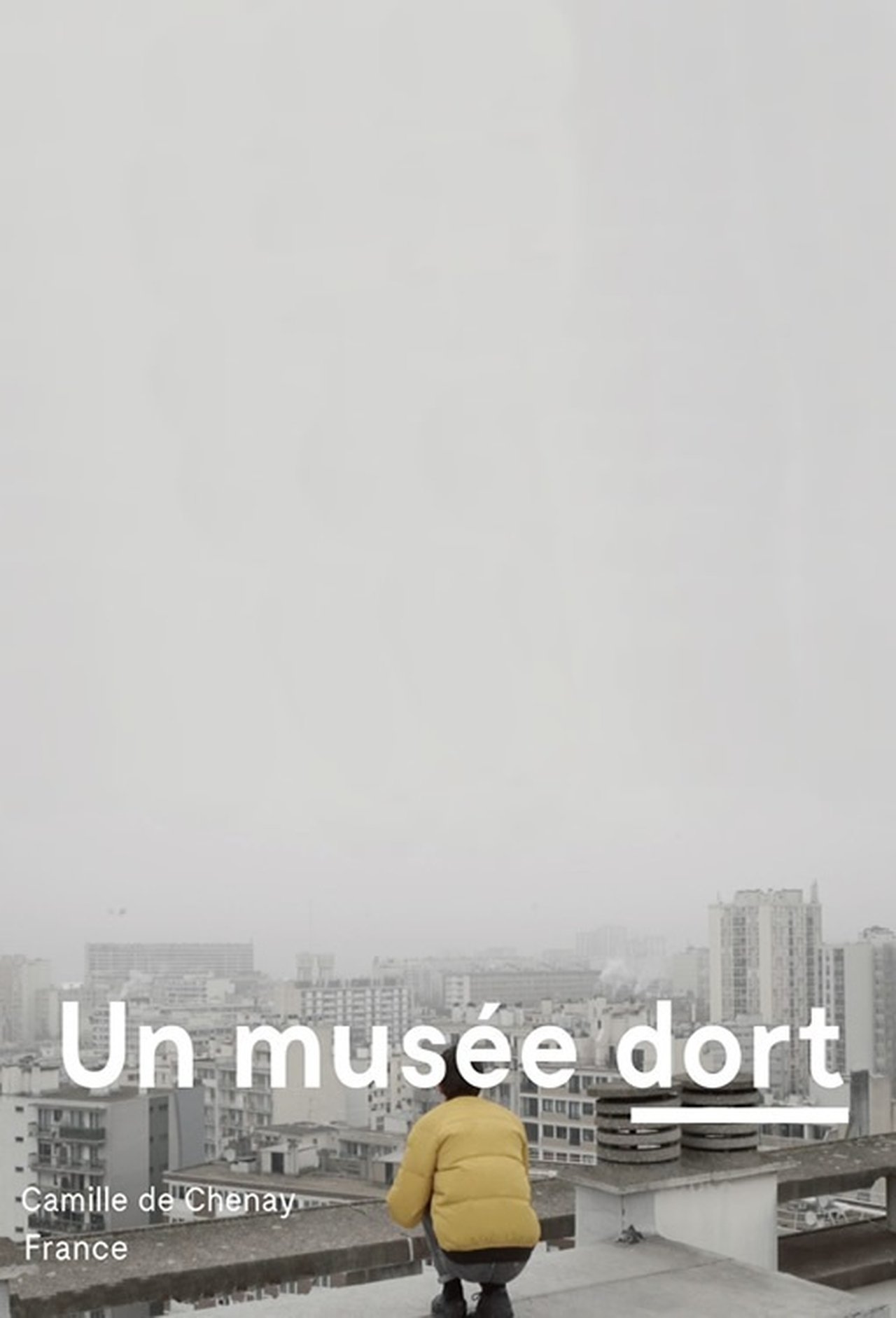 Un musée dort poster