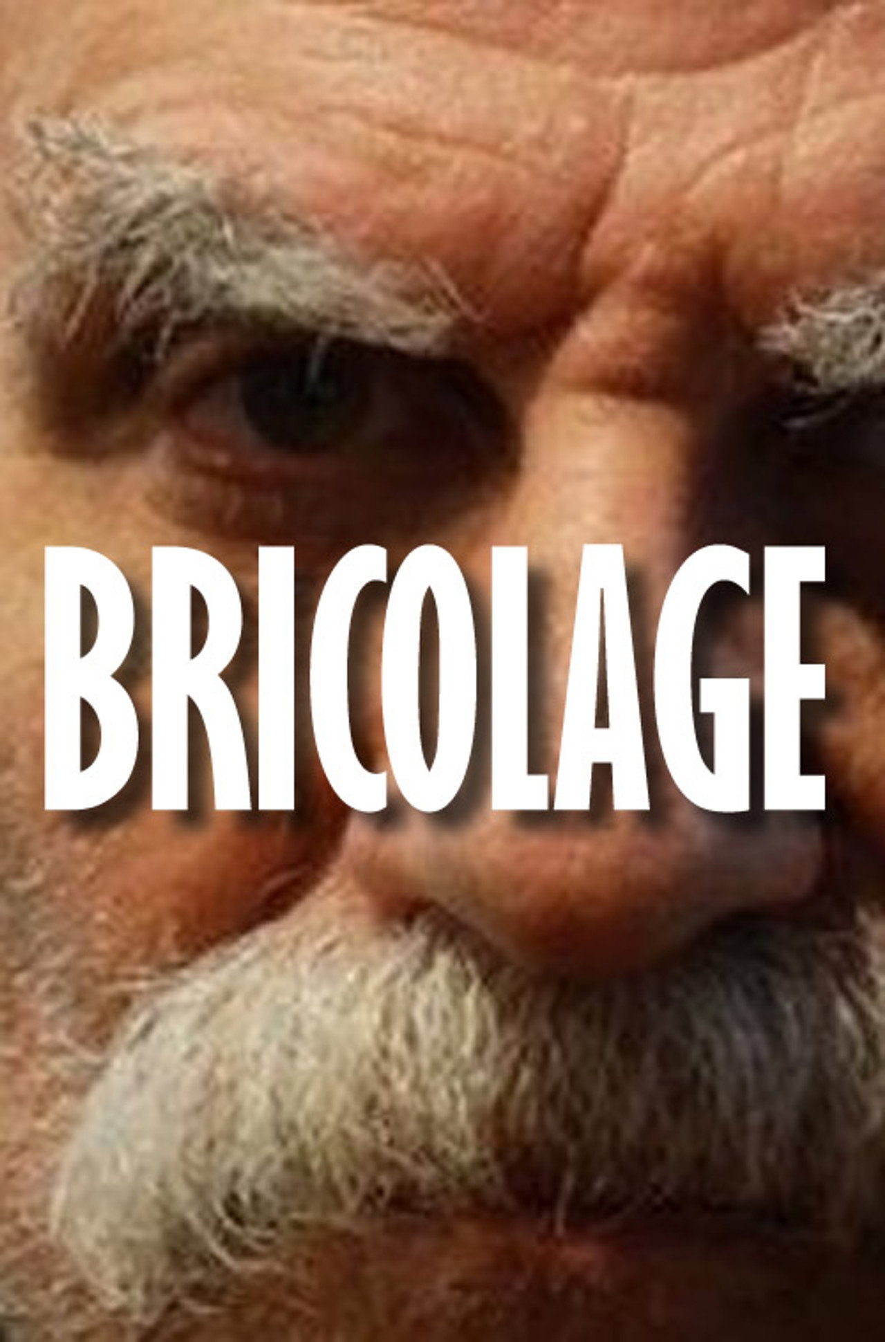 Bricolage filmaffisch
