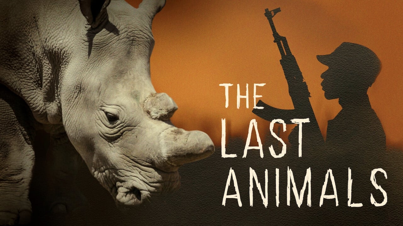 The Last Animals background