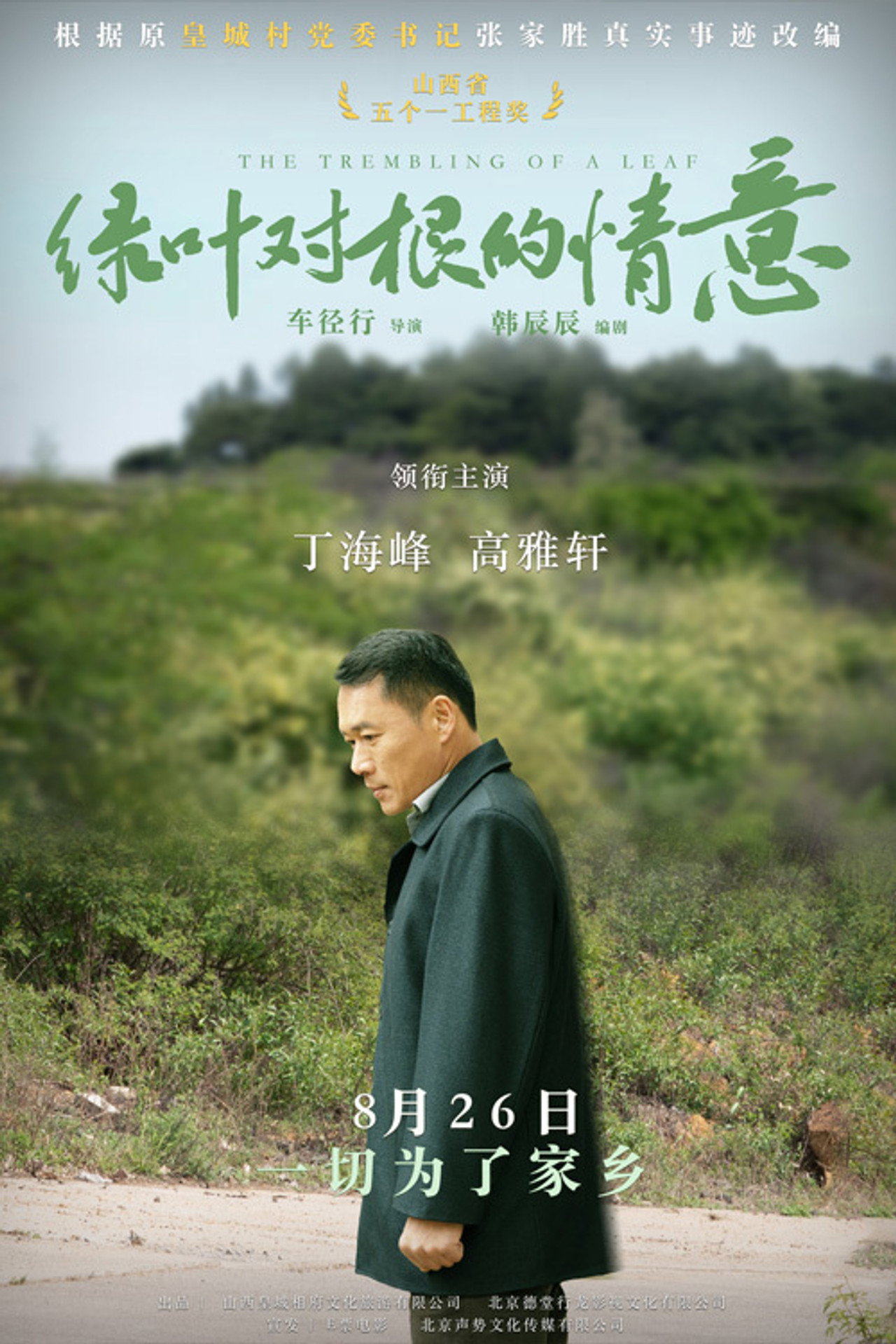 绿叶对根的情意 filmaffisch