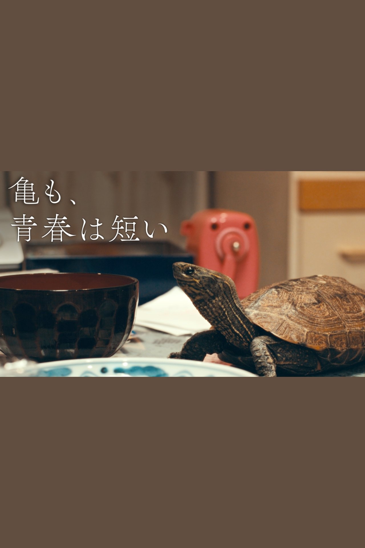 Recommendations image