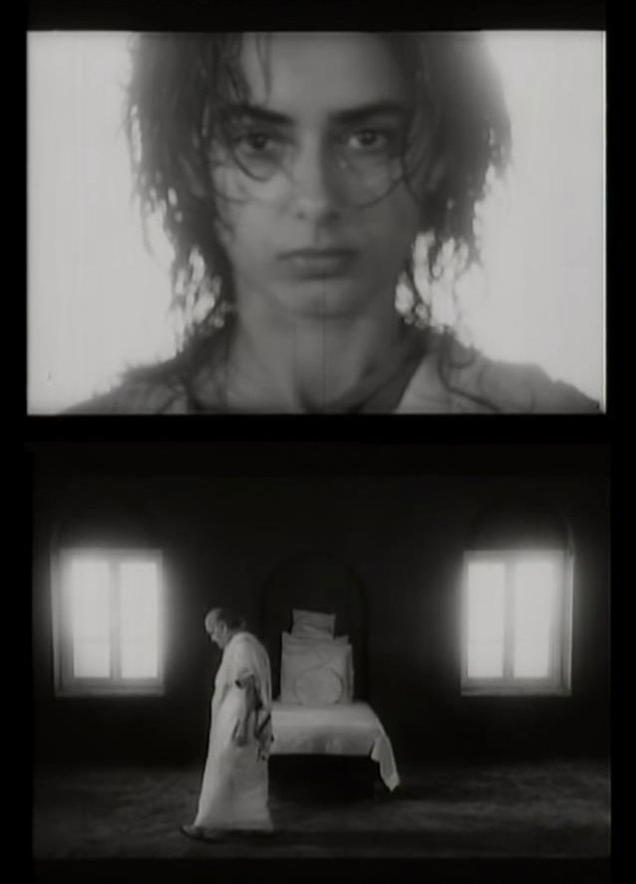 The Wisdom Tree Backdrop