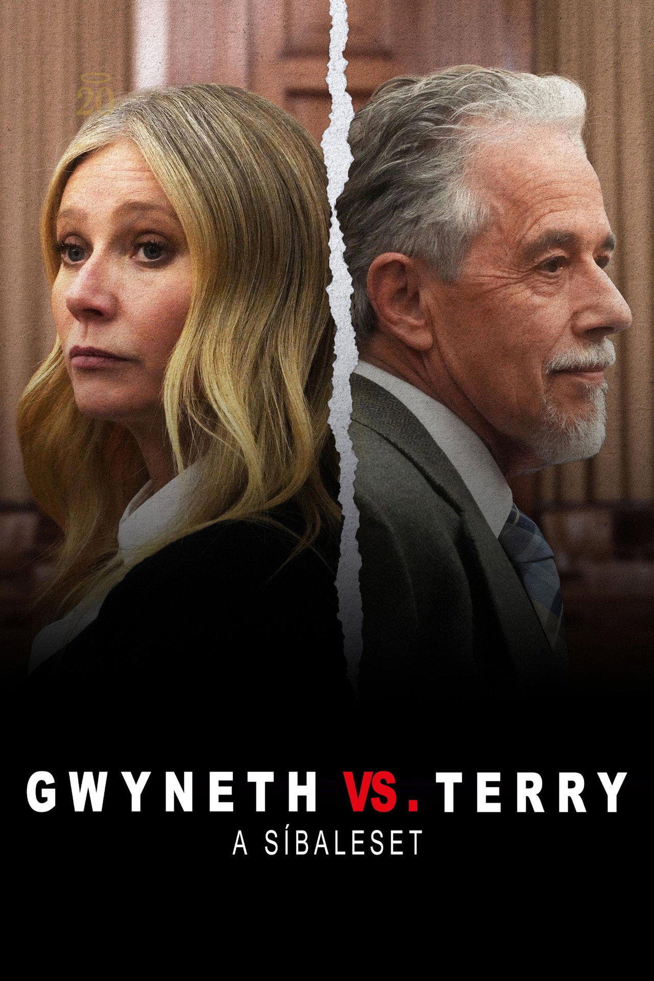 Gwyneth vs. Terry: A síbaleset – plakát 5