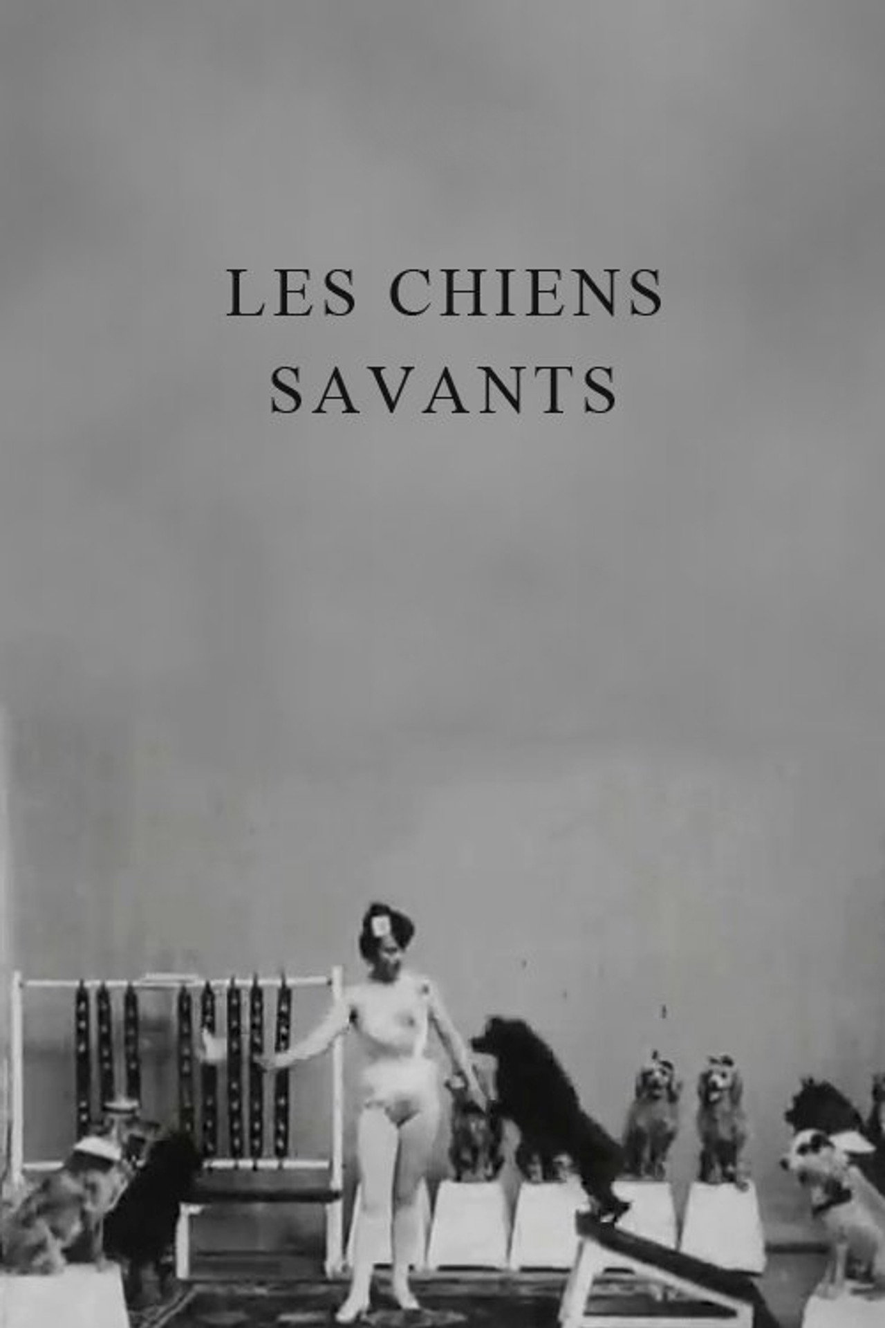 Miss Dundee et ses chiens savants filmaffisch