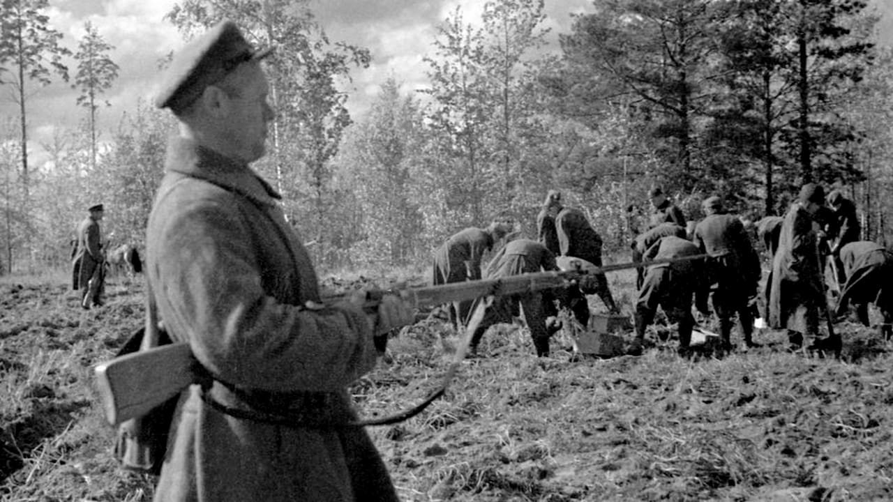 Les Bourreaux de Staline : Katyn, 1940 background