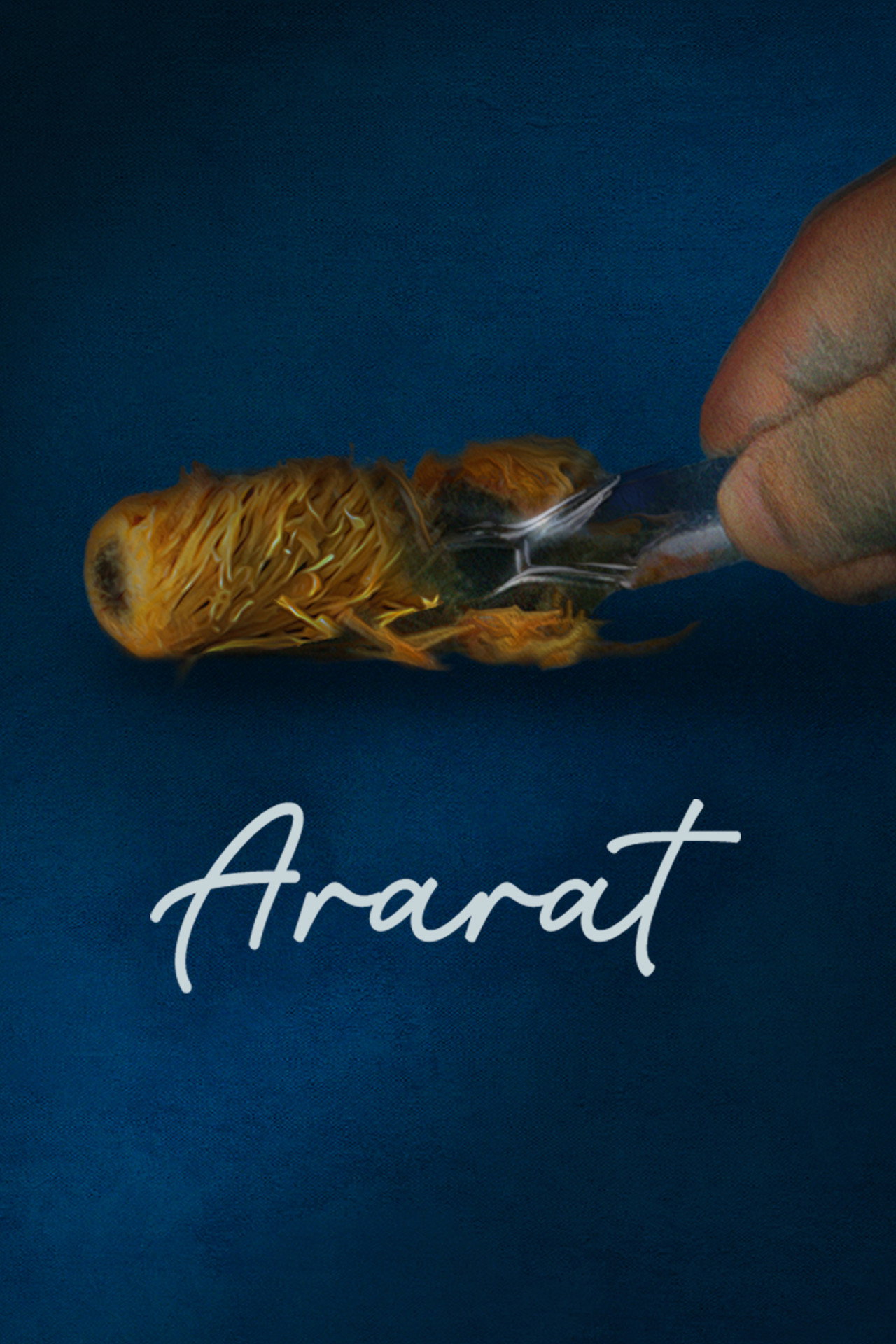 Ararat filmaffisch