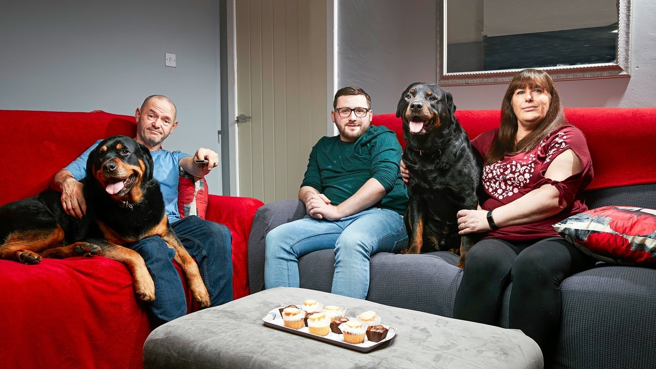 Gogglebox - Season 19 Episode 11 : Episode 11