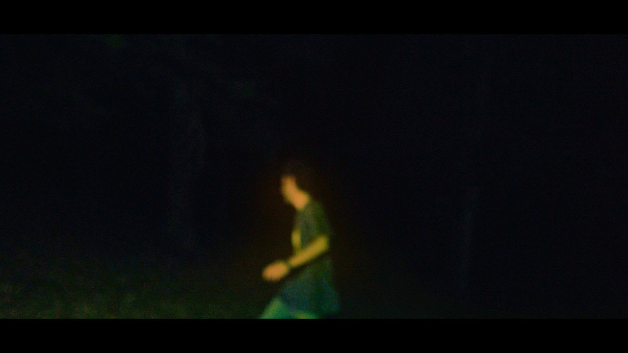 Music Forest still 9