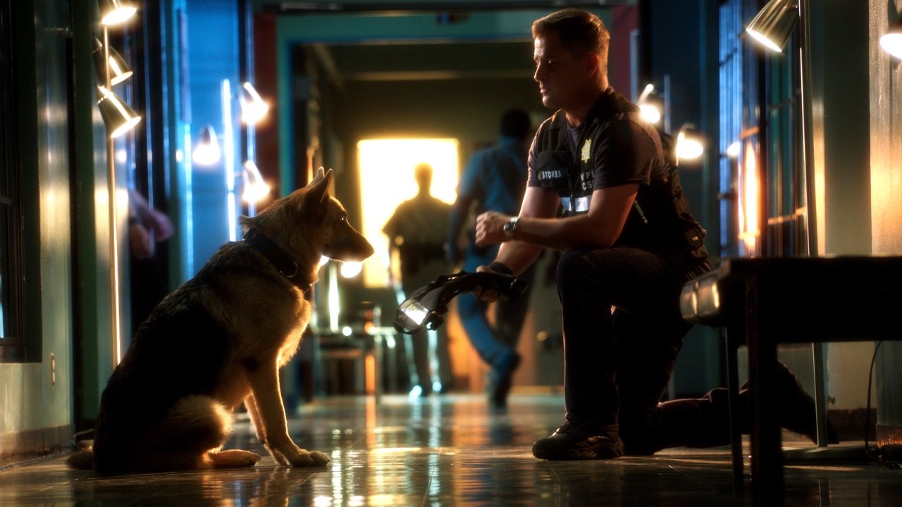 CSI: Crime Scene Investigation - Season 13 Episode 5 : Play Dead
