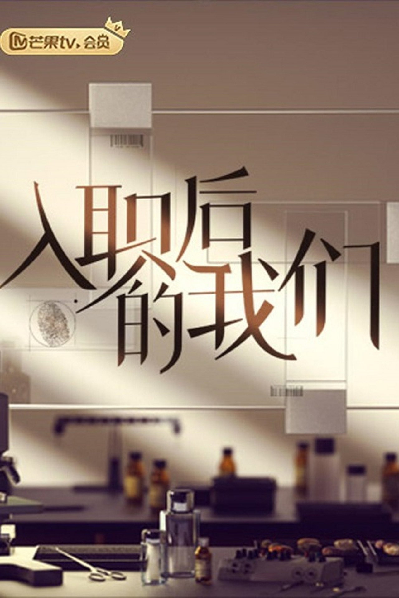 入职后的我们 affisch