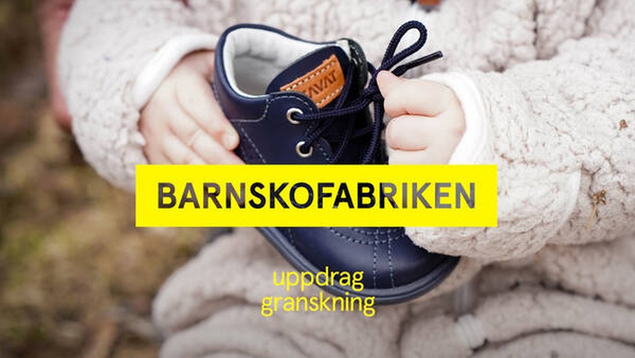 Uppdrag granskning - Season 22 Episode 9 : Barnskofabriken