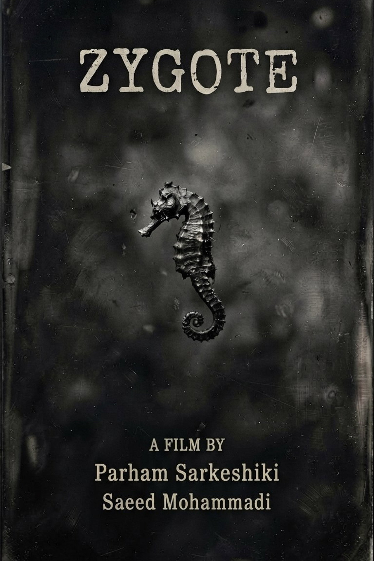 Zygote poster