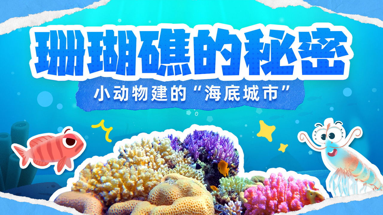 斑马百科探索 — Épisode 22