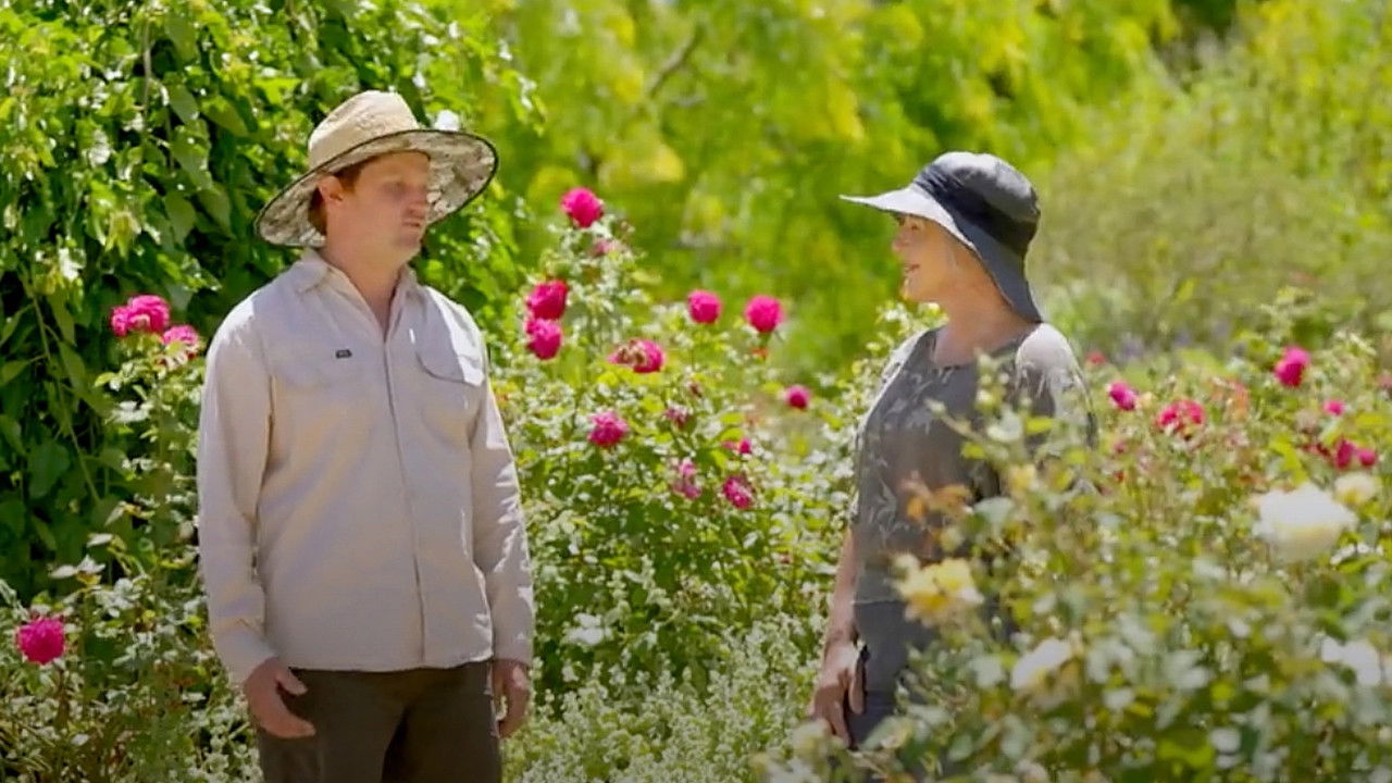 Gardening Australia - Season 36 Episode 41 : Episode 41 Summer: South Asian Crops & Butterfly World