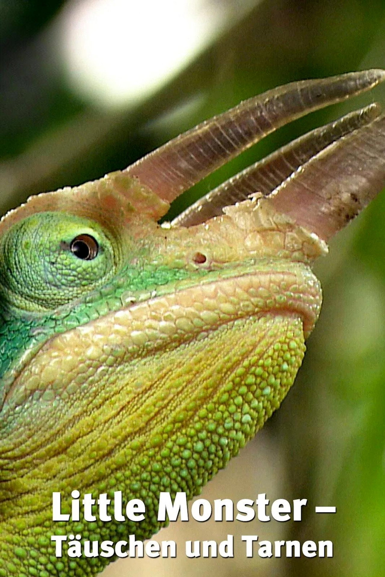 Little Monsters 3D Backdrop