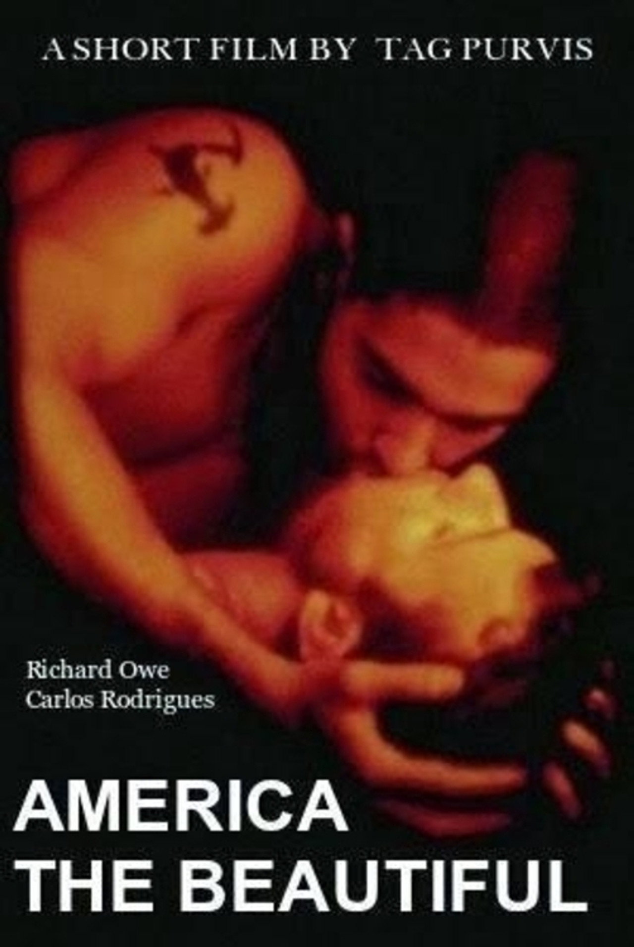 America the Beautiful filmaffisch