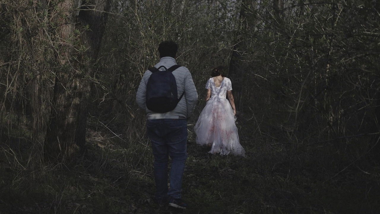 Kísértés az erdő mélyén - "A Megtört Fény" backdrop