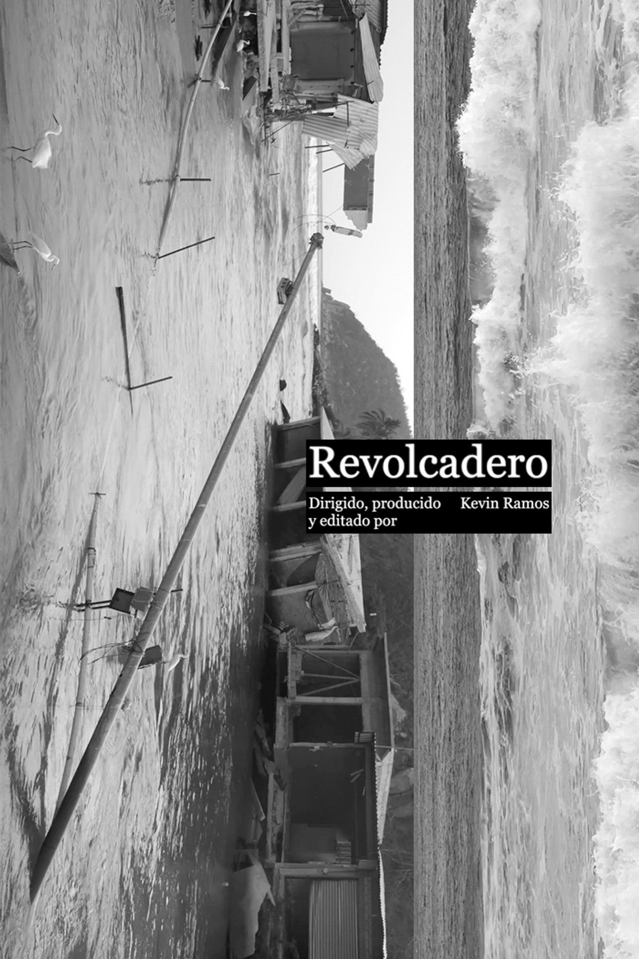 Revolcadero poster