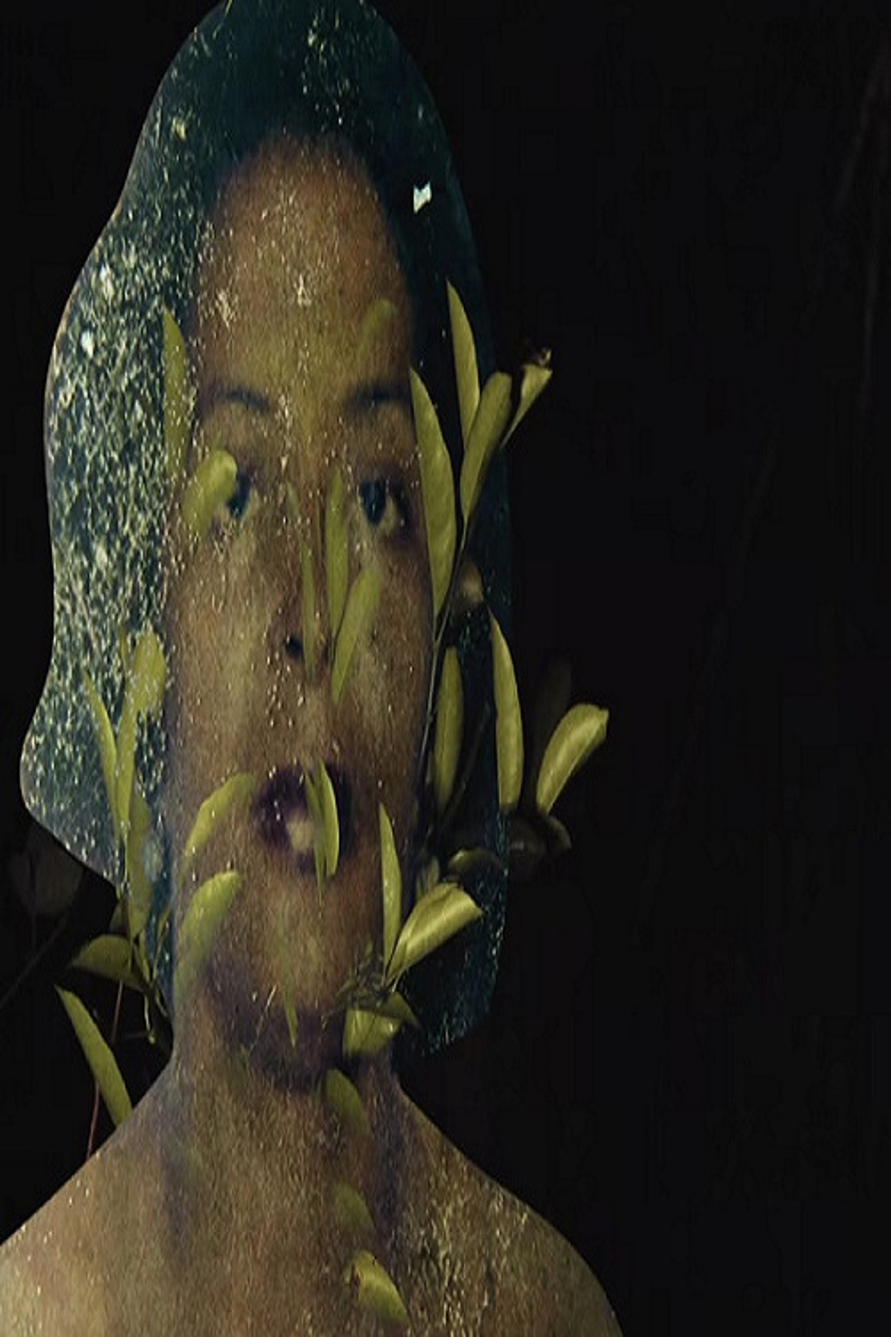 Cemitério Verde filmaffisch