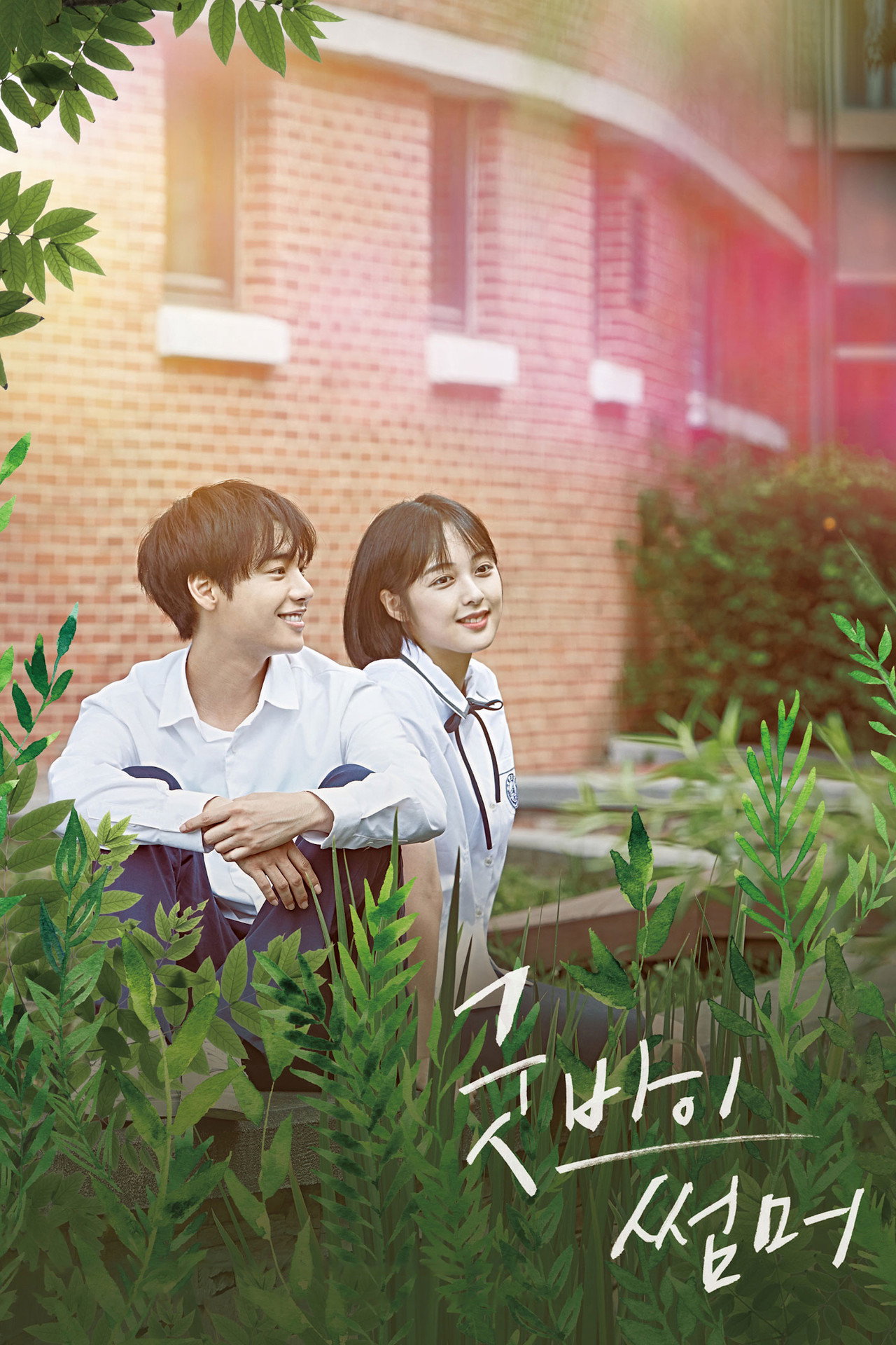 굿바이 썸머 filmaffisch