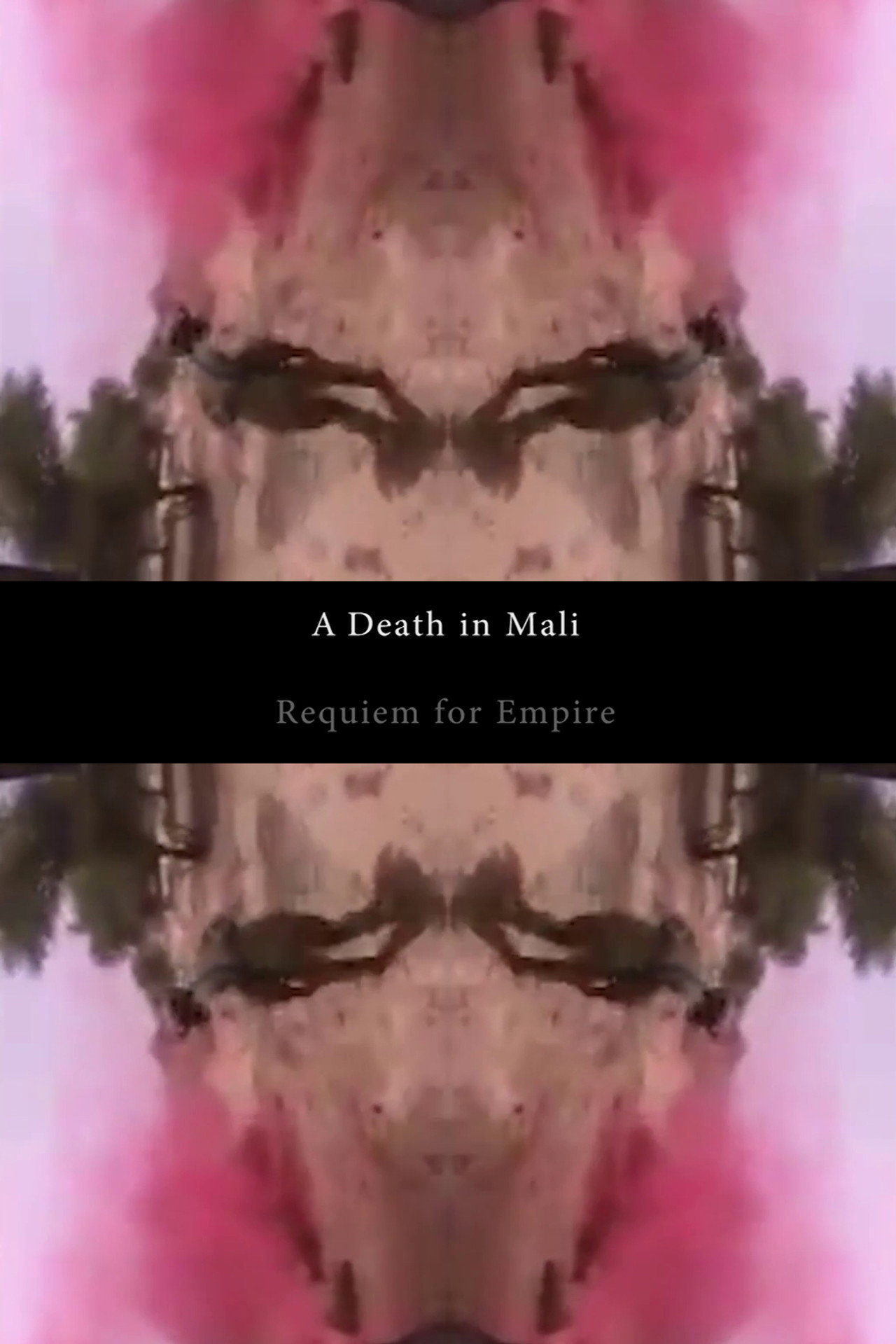 A Death in Mali - Requiem for Empire