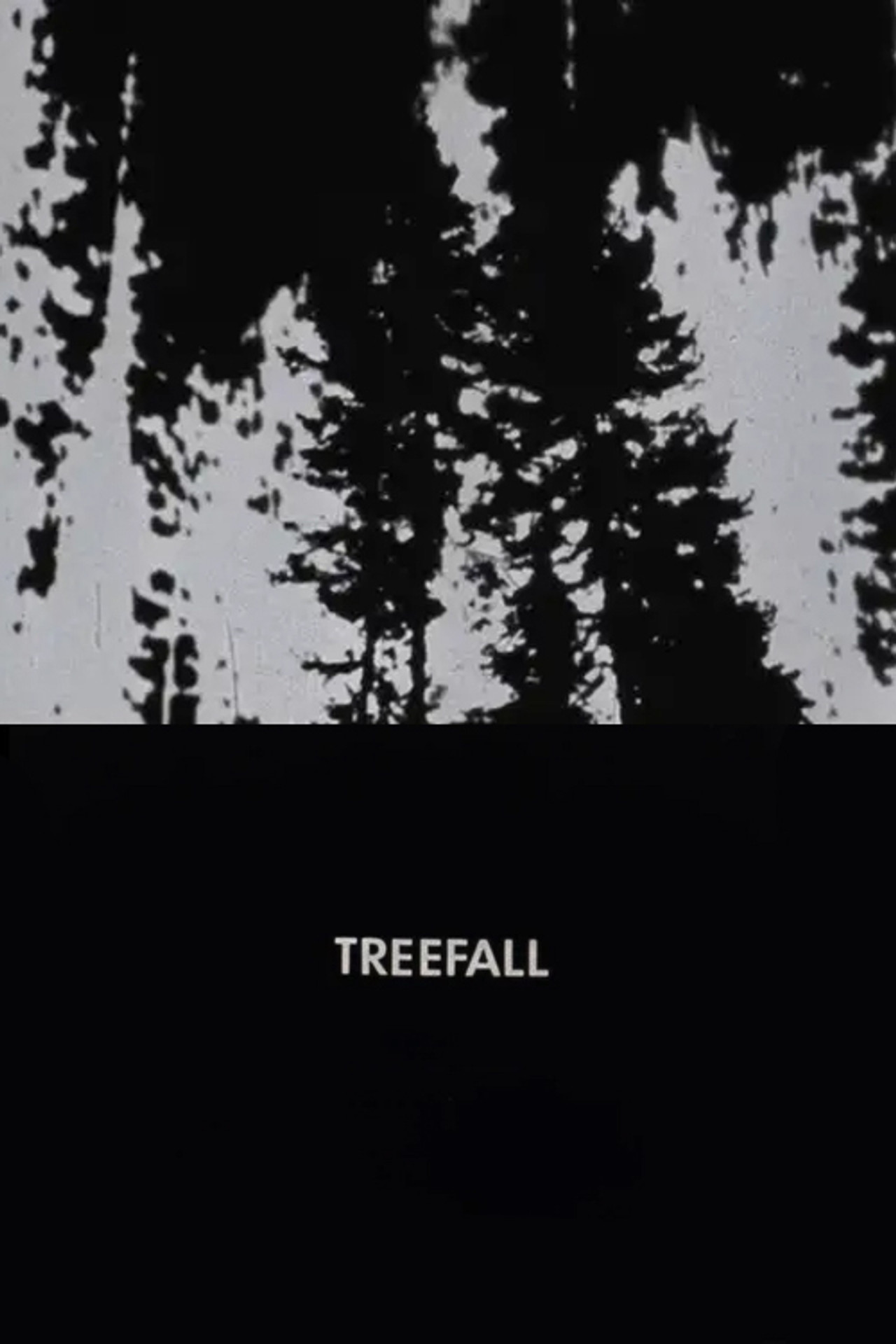 Treefall Backdrop