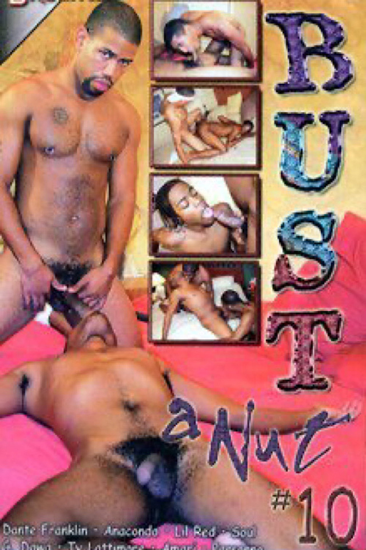 Bust a Nut 10 filmaffisch