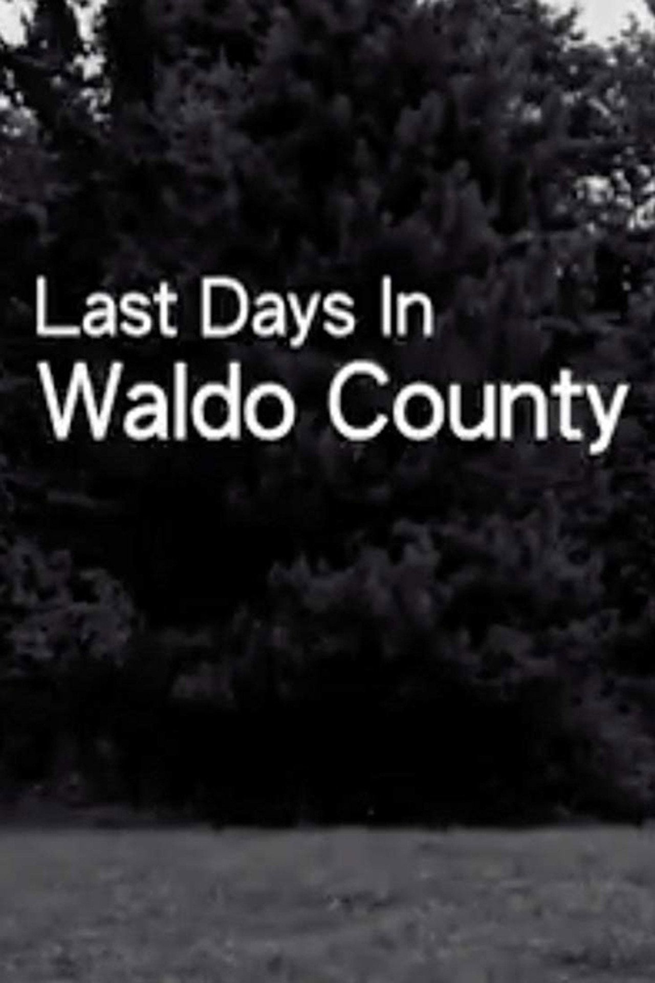 Last Days In Waldo County filmaffisch