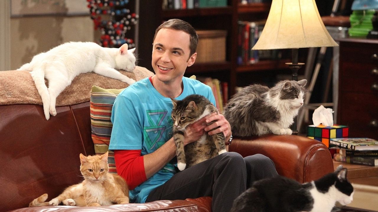 The Big Bang Theory - Season 4 Episode 3 : The Zazzy Substitution