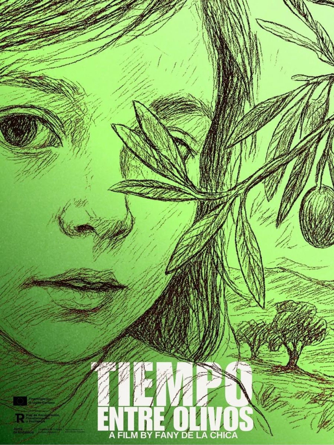 Tiempo entre olivos