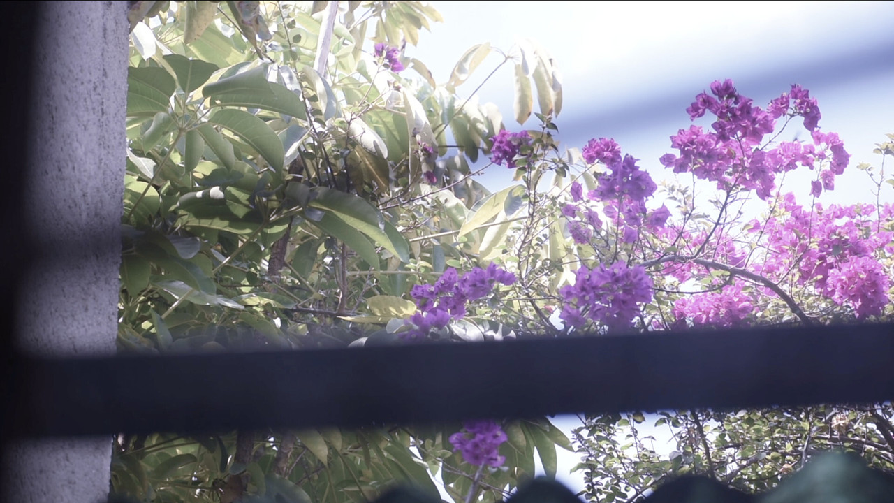 Immagine di copertina del trailer di sometime maybe