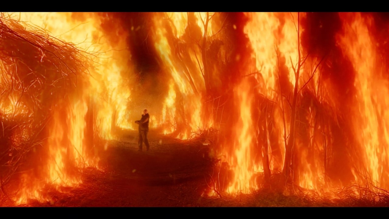 Embers