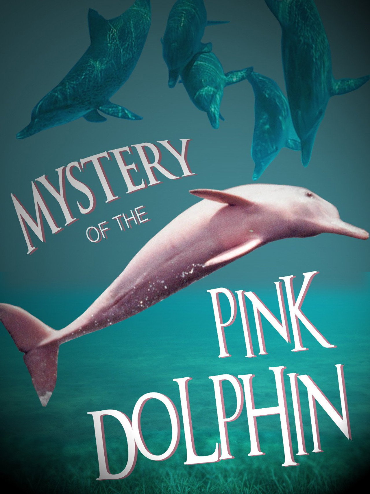 The Mystery of the Pink Dolphin filmaffisch