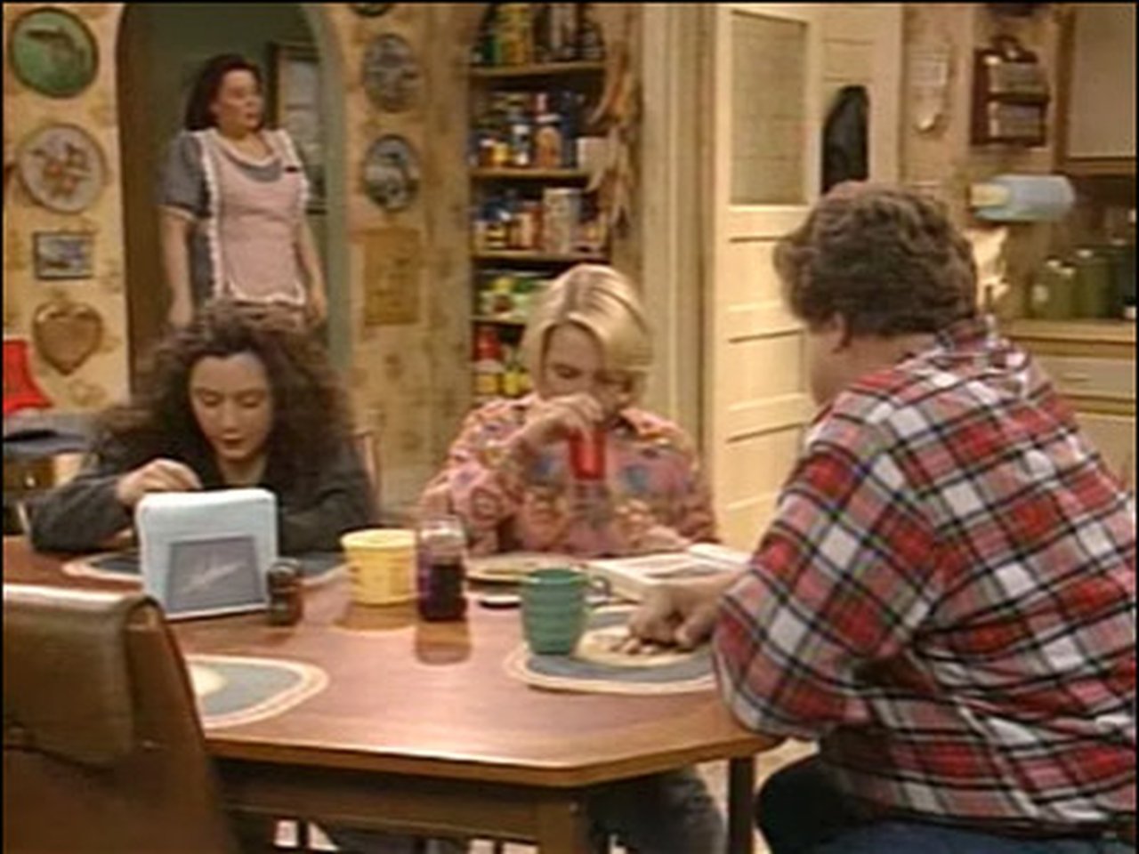 Roseanne - Season 4 Episode 25 : Aliens