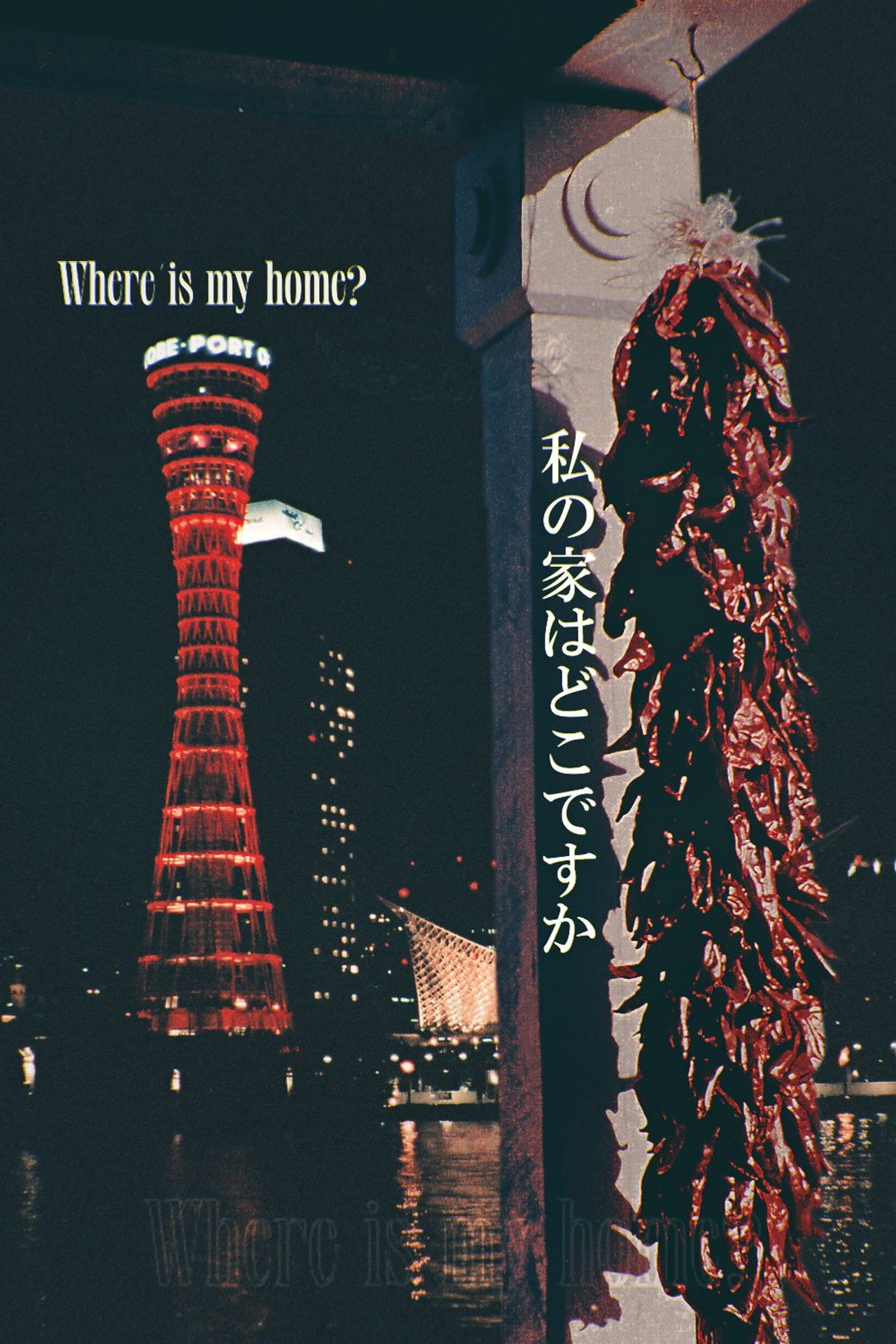 Where Is My Home? filmaffisch