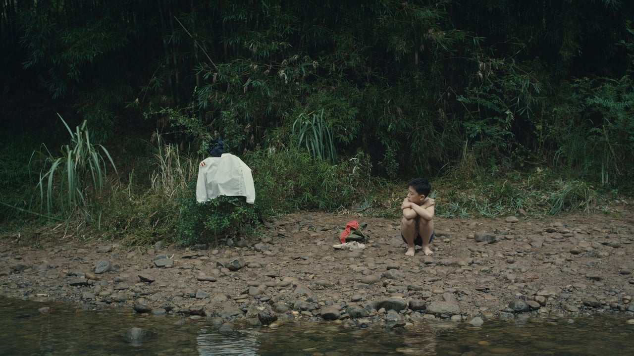 11 Flowers (2012)