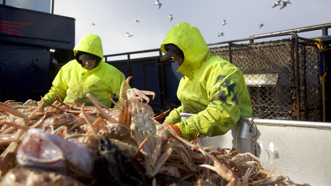 Deadliest Catch - Season 14 Episode 11 : Blackout