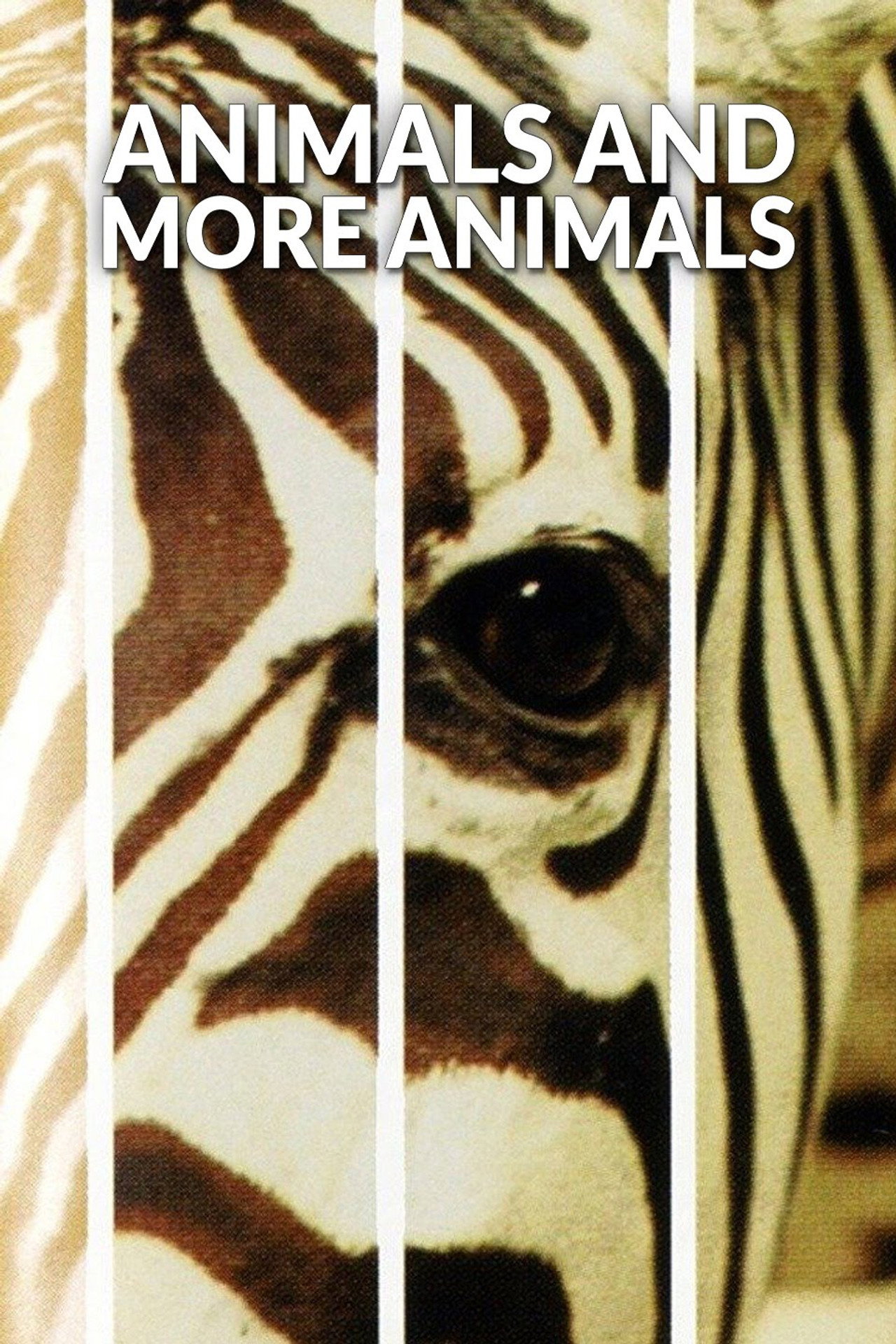 Un animal, des animaux filmaffisch
