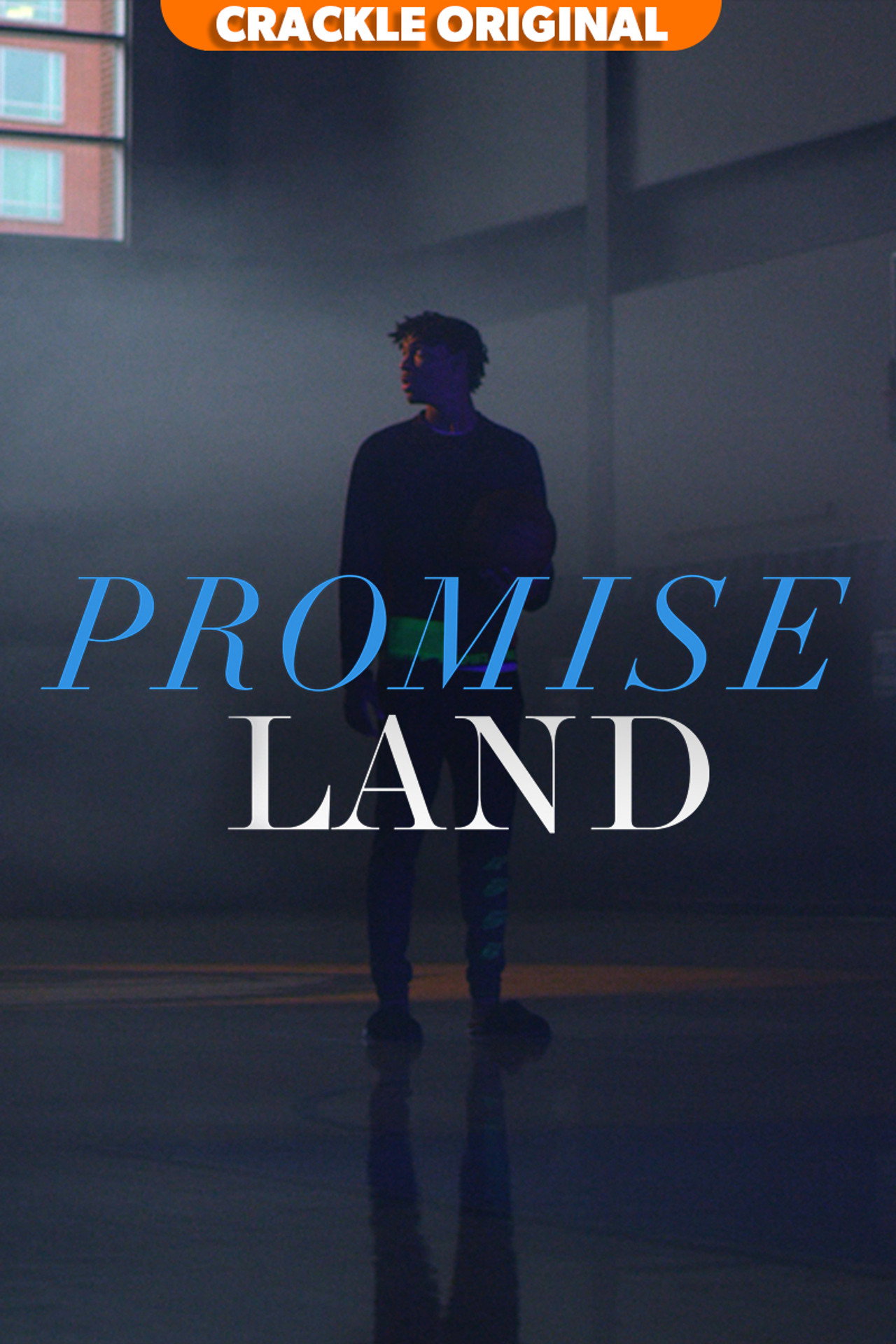 PROMISELAND affisch