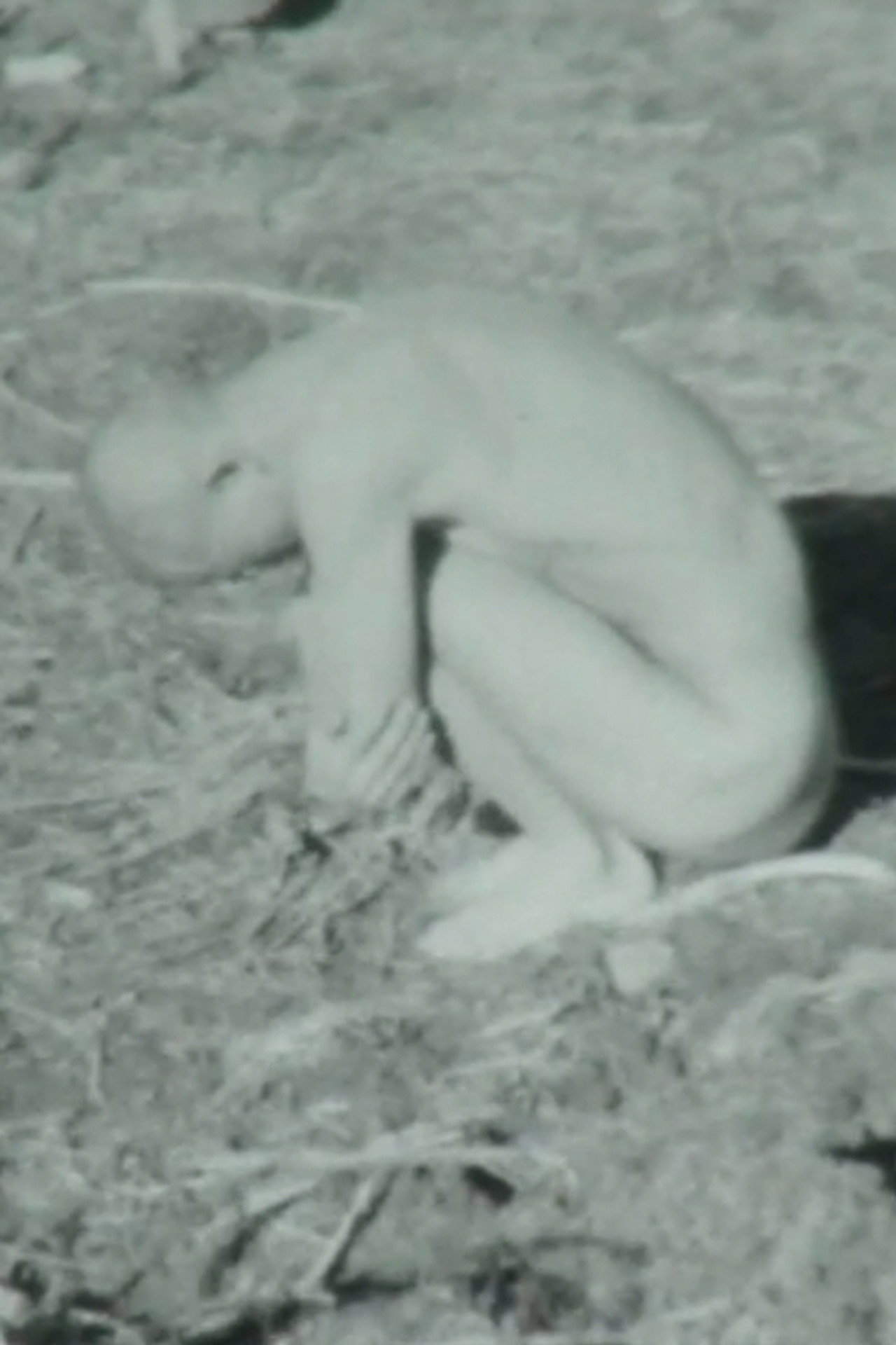 World Uprising: Earth Sound Transmission Ritual Backdrop