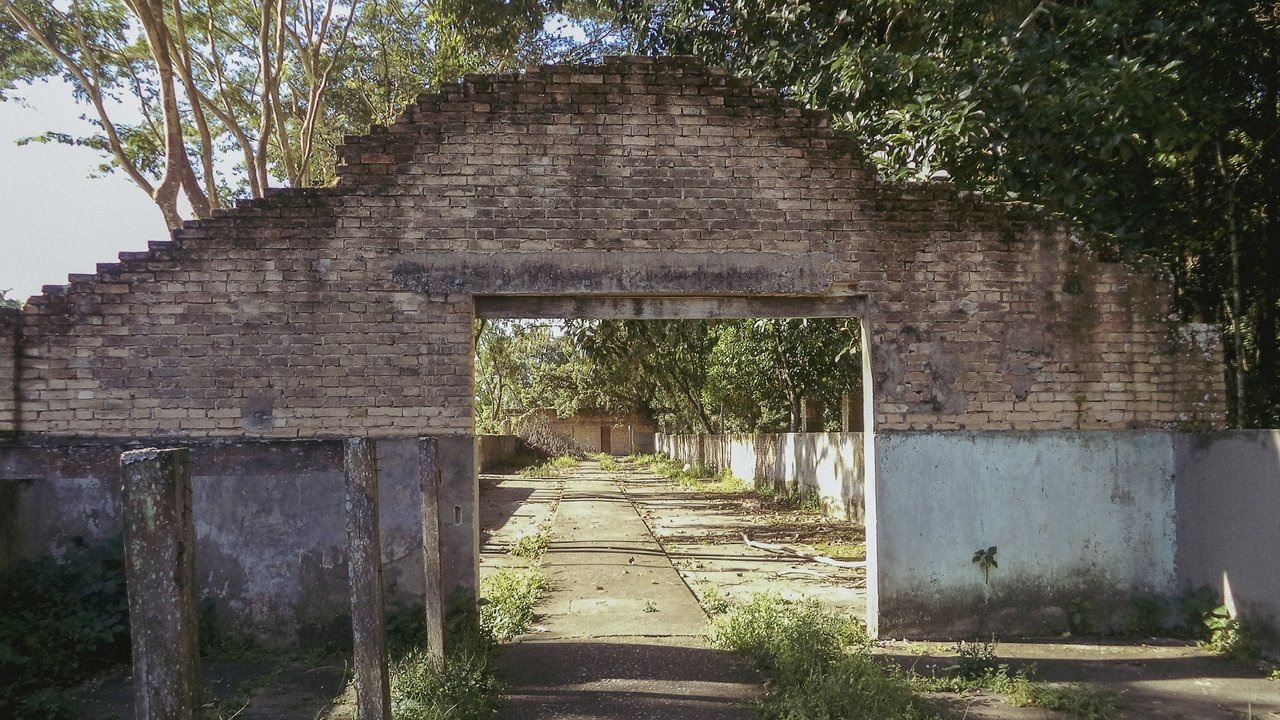 o céu diante dos meus olhos nunca é cinza
