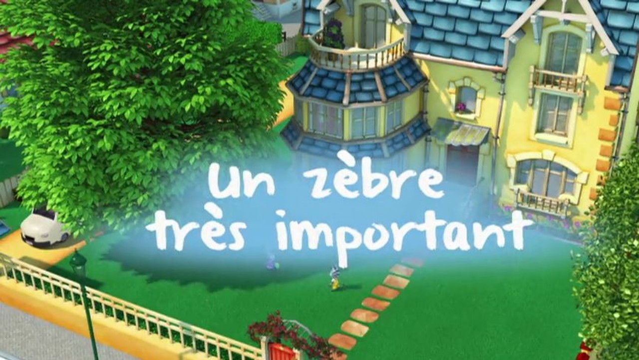 Zou — Un zèbre très important