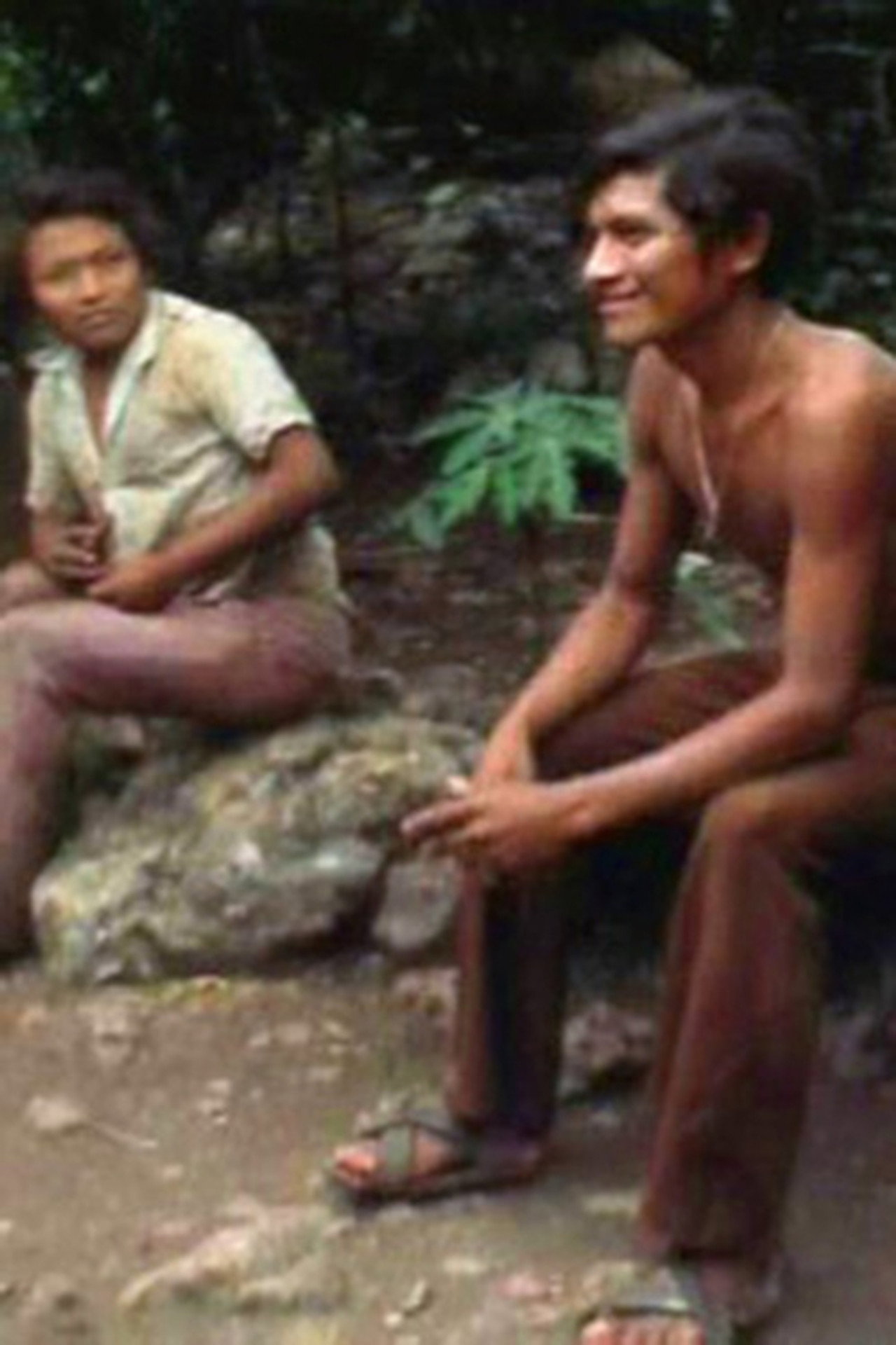 Yucatec Maya Deaf Sign filmaffisch